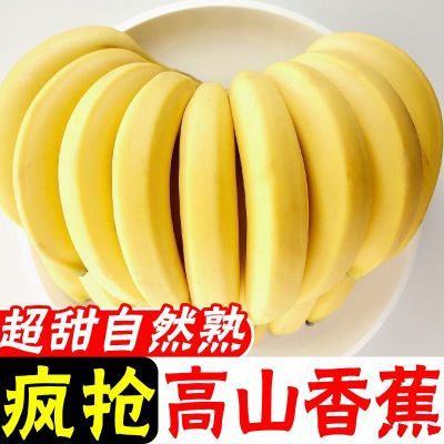 【促销】云南高山甜糯大香蕉自然熟薄皮整箱青皮批发非芭蕉小米蕉