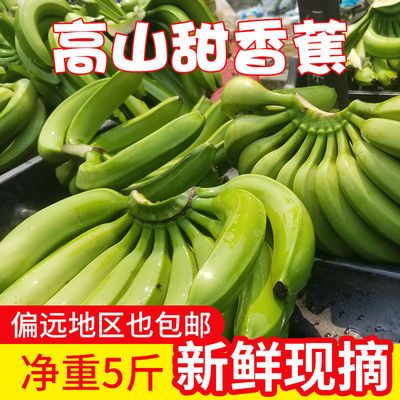 【泡沫箱】云南高原自然熟香甜香蕉纯天然新鲜水果5/9斤包邮批发