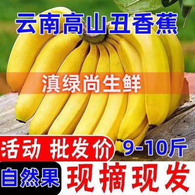 【批发价】香蕉高山蕉当季新鲜水果软糯香甜薄皮芝麻香蕉整箱青皮