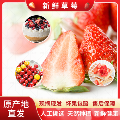 云南草莓夏季新鲜商用酸草莓奶茶草莓酱烘焙糖葫芦大果整箱包邮