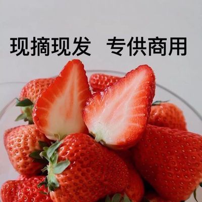 商用草莓新鲜9斤酸甜烘焙奶茶店糖葫芦应季时令鲜活当季整箱大果