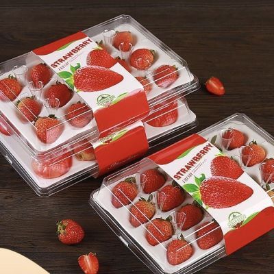 云南夏季草莓新鲜酸甜商用烘焙奶茶果园直销现摘现发整箱包邮