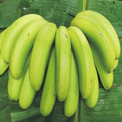 新鲜香蕉 新鲜水果 当季新鲜水果热带水果现采现发整箱批发