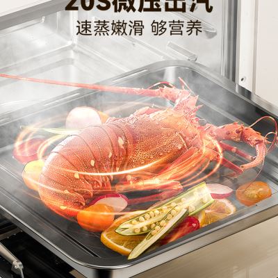 欧宁12L蒸烤箱小型家用一体机台式蒸汽电烤箱多功能炸烤箱23新款