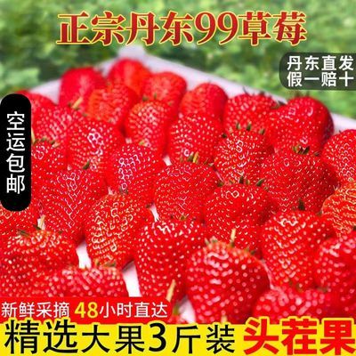 正宗丹东99草莓新鲜应季孕妇红颜九九箱批发牛奶草莓草莓丹东商用
