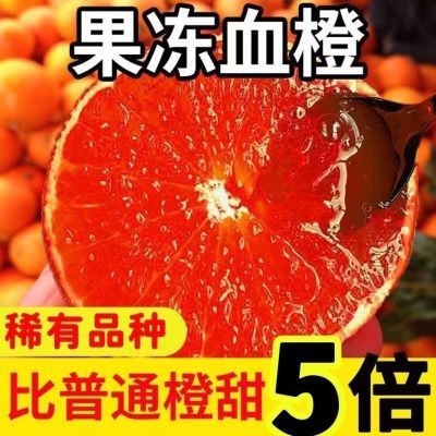 【果冻血橙】四川塔罗科血橙超甜薄皮橙子当季新鲜孕妇橙子