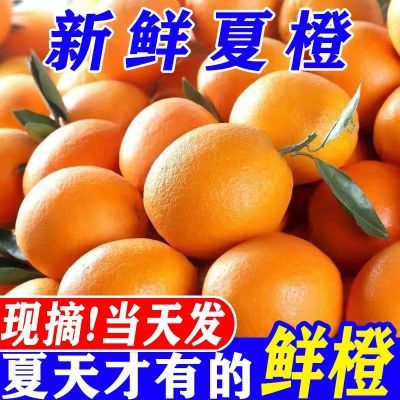 【现摘现发】广西新鲜夏橙当季超甜橙子3/5/10斤新鲜水果批发包邮