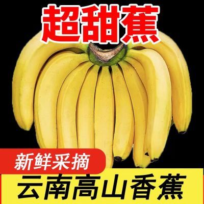 【爆甜】云南高山大香蕉新鲜应季水果整箱批发非芭蕉苹果蕉小米蕉