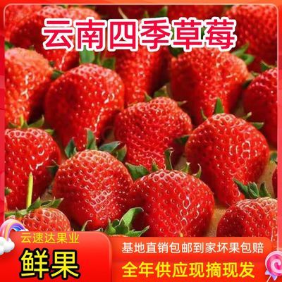 草莓新鲜冰糖葫芦奶茶烘焙一整箱便宜鲜草莓现摘现发四季红颜