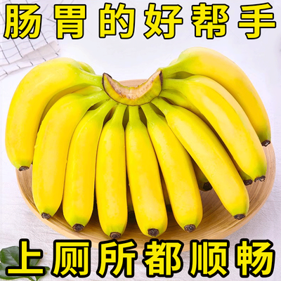 【纯甜】云南高山香蕉薄皮新鲜水果孕妇非广西小米蕉芭蕉整箱批发