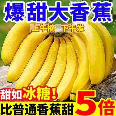 云南高山香蕉薄皮软糯香甜当季新鲜水果非芭蕉广西小米蕉整箱批发