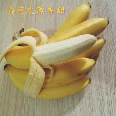 广西新鲜香蕉 新鲜banana 新鲜水果 整箱批发