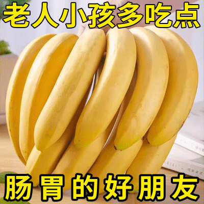【纯甜】云南高山香蕉薄皮新鲜水果孕妇非广西小米蕉芭蕉整箱批发