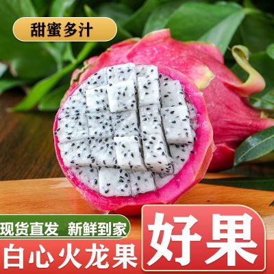 【今日发】越南火龙果白心进口新鲜当季热带水果现货整箱非红心