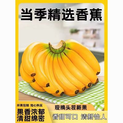 【爆甜】云南高山香蕉新鲜当季水果整箱大芭蕉叶小米蕉甜香焦自然