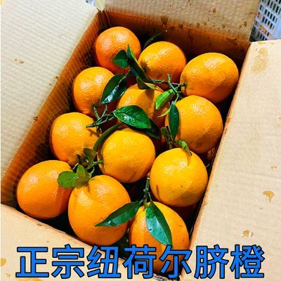 【纽荷尔脐橙】正宗脐橙无籽手剥橙子孕妇应季生鲜水果一整箱批发