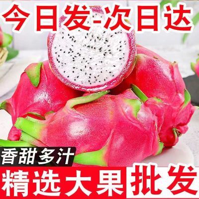 【批发价】越南白心火龙果整箱包邮应季新鲜水果直供超甜非红心