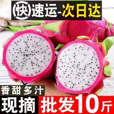 【批发价】白心火龙果10斤一整箱包邮应季新鲜水果直供超甜非红心