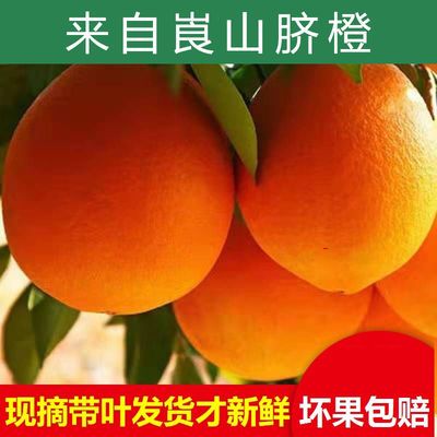 现摘橙子10斤湖南新宁崀山脐橙当季新鲜水果薄皮果冻橙手剥甜橙子