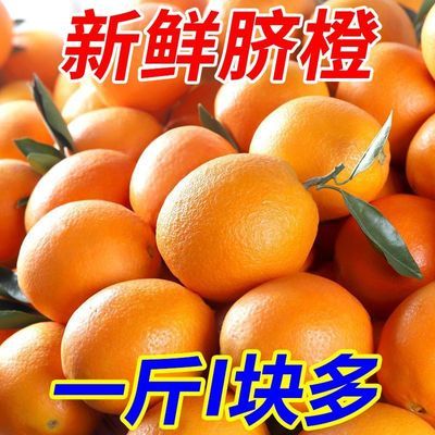 【超低价】现摘橙子新鲜脐橙手剥橙应季新鲜水果非赣南橙整箱包邮