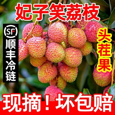 【顺丰冷链】妃子笑荔枝海南广东新鲜当季水果2.8/4.5斤整箱【5月19日发完】