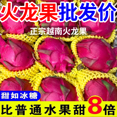 【爆甜火龙果】越南白心火龙果火龙果直供店新鲜水果直供非红心