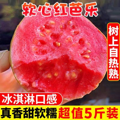 【批发价】广西软心红心番石榴新鲜水果香软芭乐红软糯鸡屎果包邮