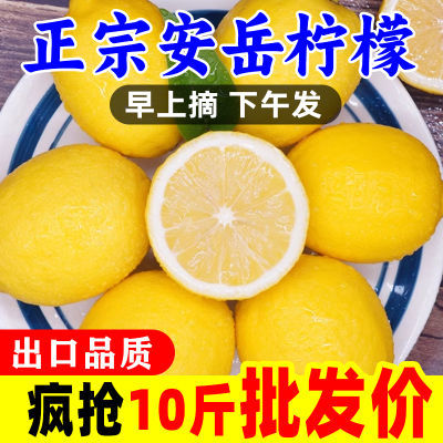 安岳黄柠檬水果当季新鲜整箱批发薄皮柠檬1-10斤多规格泡水奶茶店