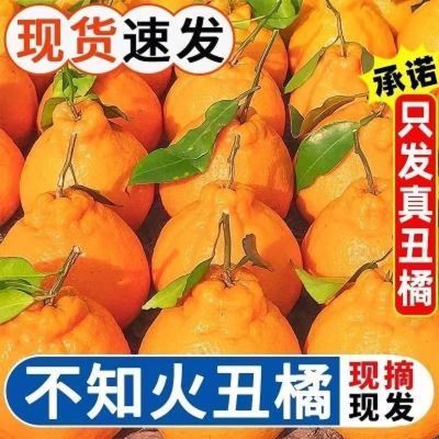 正宗四川不知火丑橘欣鲜整箱水果当季耙耙丑八怪柑橘粑粑桔子