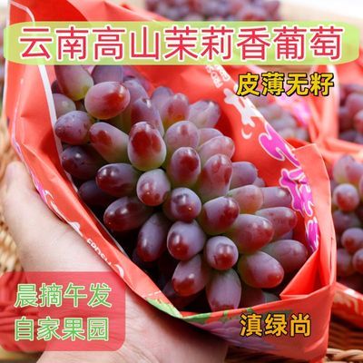 【品质团】云南茉莉香无籽葡萄新鲜摘非阳光玫瑰夏黑葡萄包邮批发