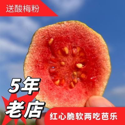 广东红心芭乐番石榴软糯香甜土芭乐新鲜水果当季热带水果整箱包邮