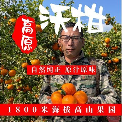 【产地滞销】云南高山沃柑皮薄汁多有籽现摘现发整箱包邮正宗