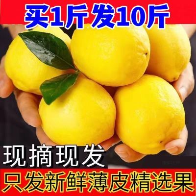 四川安岳黄柠檬新鲜应季孕妇水果薄皮多汁多规格泡水奶茶店用柠檬