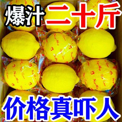 【妙刹中】安岳黄柠檬新鲜水果当季应季现摘整箱批发泡水爆汁酸爽