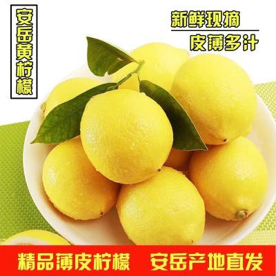 四川安岳柠檬新鲜水果当季鲜果多汁整箱批发薄皮一级奶茶泡水5斤