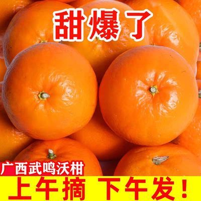 【当季水果】新鲜沃柑现摘现发精选大果薄皮超甜广西武鸣桔子批发