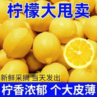 【首单直降】安岳黄柠檬新鲜柠檬水果奶茶店10斤批发薄皮柠檬鲜果
