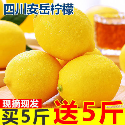 安岳黄柠檬水果当季新鲜水果整箱批发薄皮一级柠檬新鲜批发价