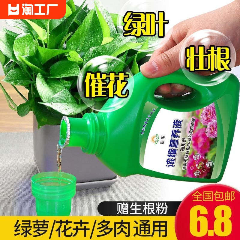 营养液植物通用型花肥家用盆栽发财树富贵竹绿萝水培绿植肥料园艺