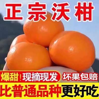 沃柑云南高山当季新鲜水果当季整箱一级现摘沃柑果园直发现摘现发