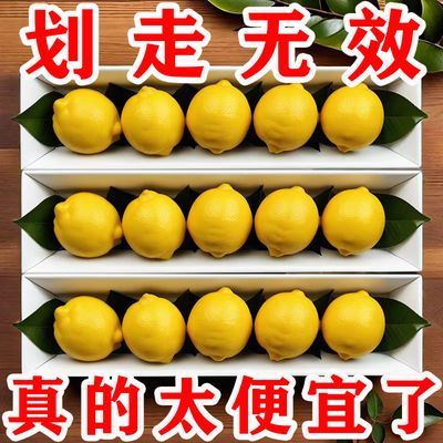 【超低价】一级黄柠檬大果新鲜应季水果桔子柠檬茶鲜果批发价泡水