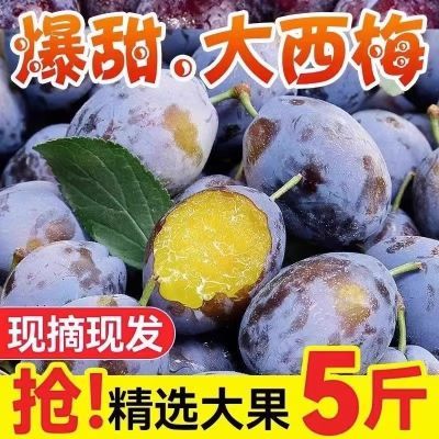 【现货】西梅法兰西水果正宗西梅孕妇当季整箱李子1/2/3/5斤