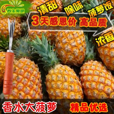 【10斤特价】香水大菠萝新鲜大果菠萝小菠萝水果5/8斤/10斤非凤梨