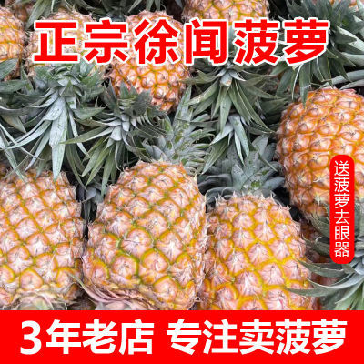 【发熟果】新鲜徐闻香水大菠萝凤梨应季新鲜香甜水果整箱批发