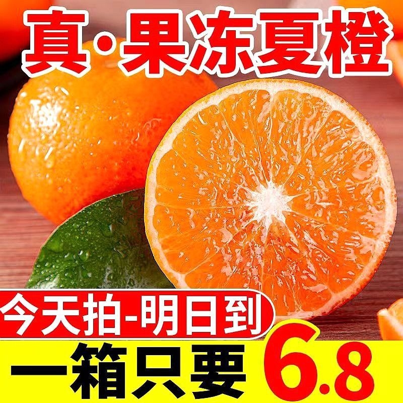 【超级低价】现在夏橙湖北秭归冰糖橙新鲜应季水果薄皮小橙子脐橙