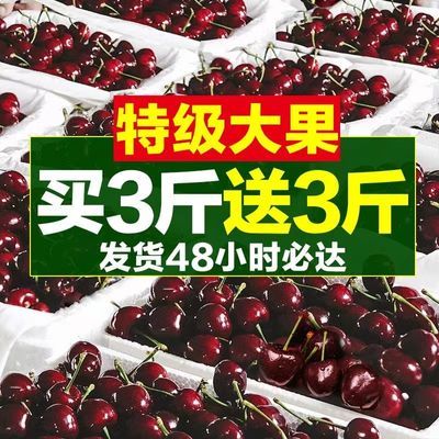 【送3斤清晨采摘】烟台大樱桃新鲜水果3斤孕妇车厘子5斤山东特大