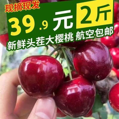 山东果园现摘现发整箱1斤5斤包邮国产车厘子烟台大樱桃新鲜孕妇3j