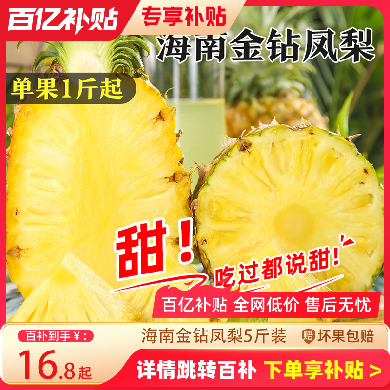 海南凤梨果型饱满自然生长菠萝脆爽可口汁水充沛现货现发包邮