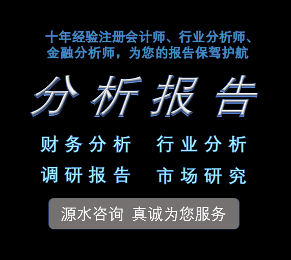 财务分析报告财务数据分析财务报表分析行业财务上市公司审计会计