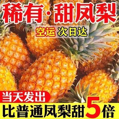 【爆甜树上熟】海南金钻凤梨新鲜应季水果手撕无眼大菠萝整箱批发